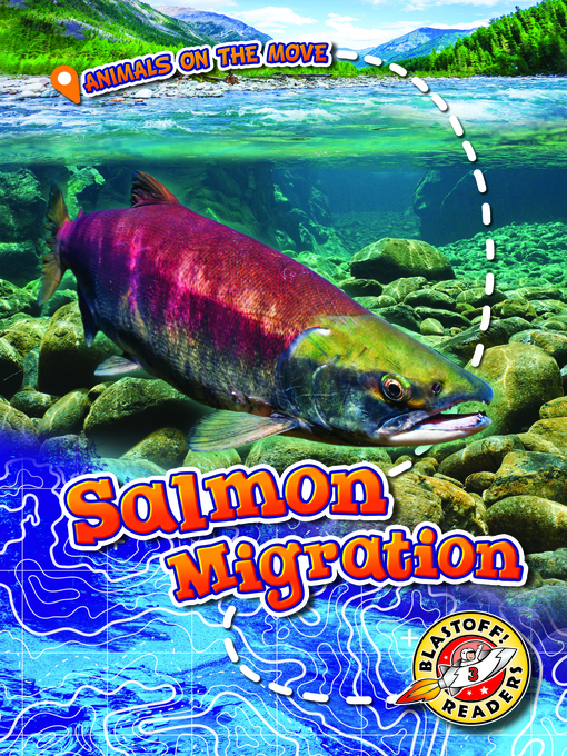 Cover image for Salmon Migration